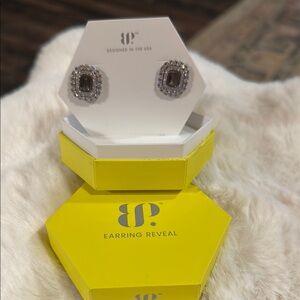 BP Silver and Black Crystal Earrings